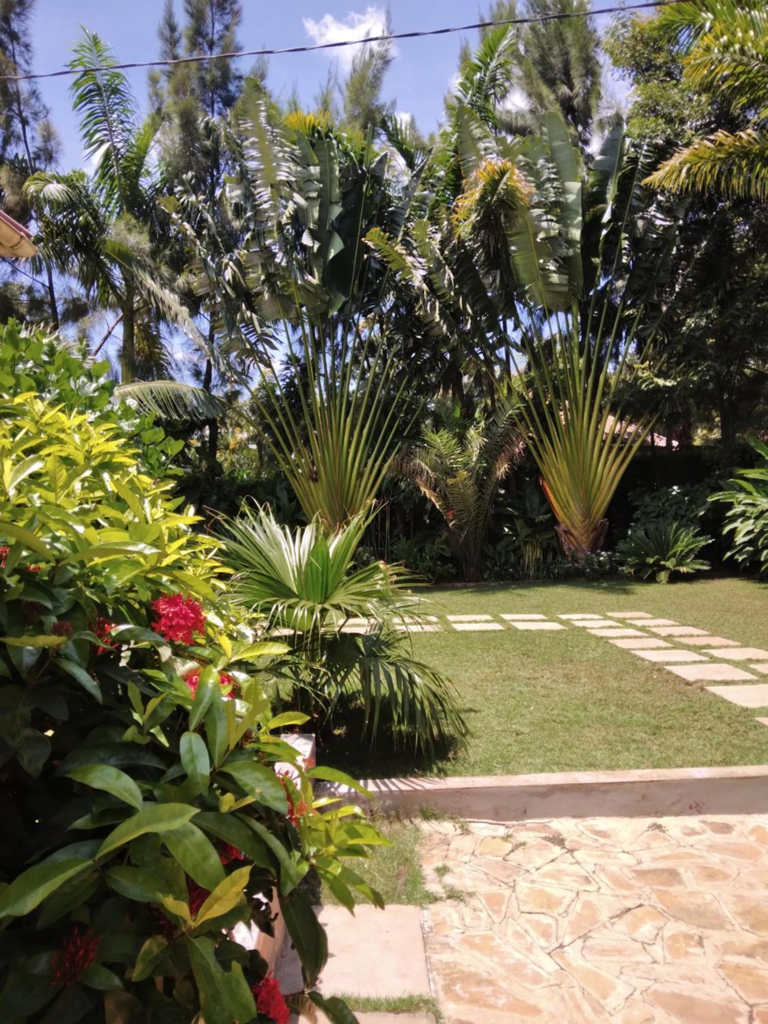 Sprunger Avenue - Tulia Homes Moshi Esterno foto