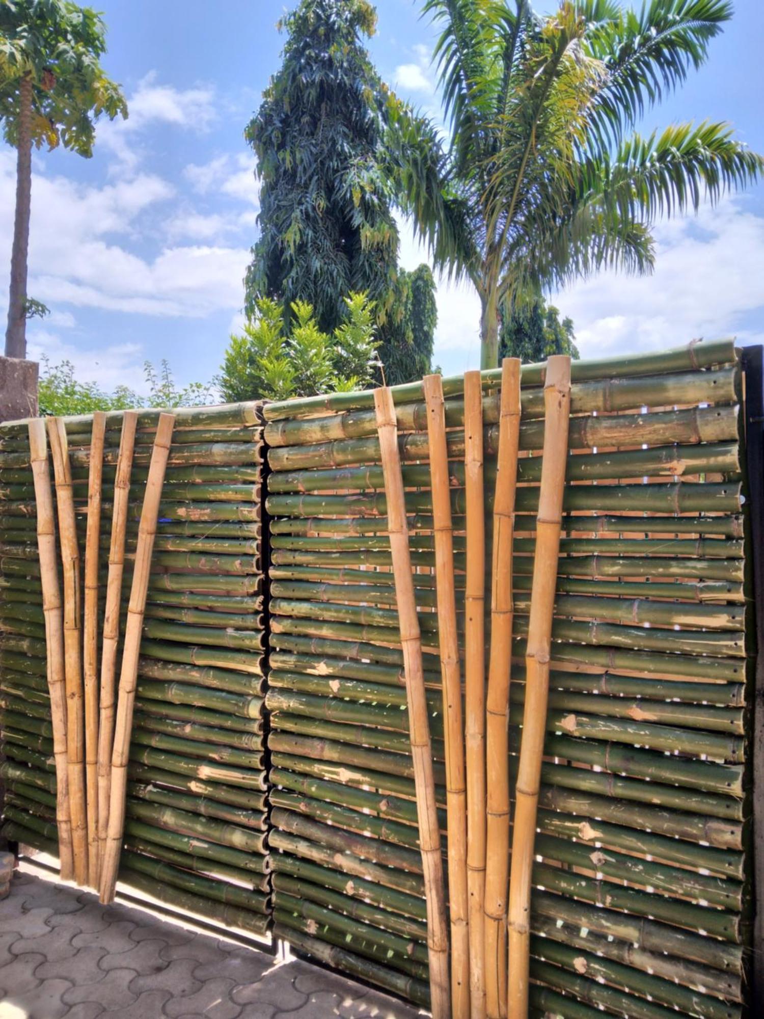 Sprunger Avenue - Tulia Homes Moshi Esterno foto